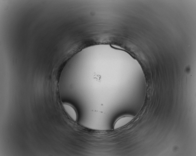 X0000103440521200809121104