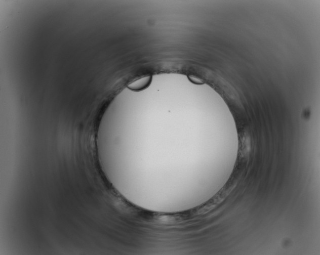 X0000103440522200809121104