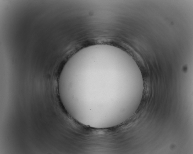 X0000103440523200809121104