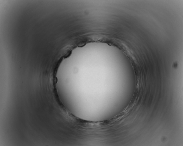 X0000103440524200809121104