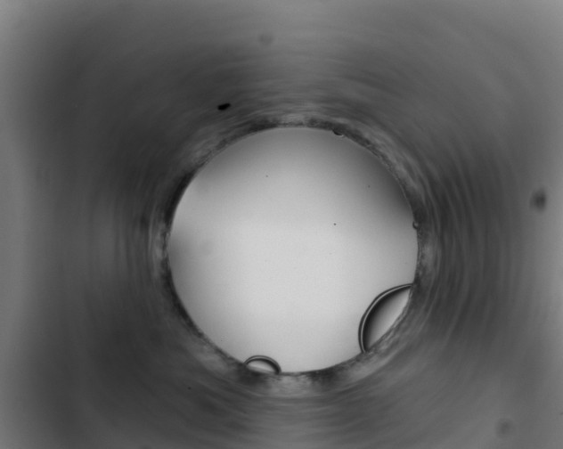 X0000103440525200809121104