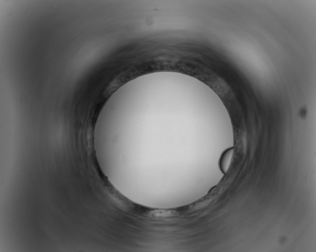 X0000103440526200809121104