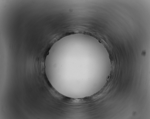 X0000103440527200809121104