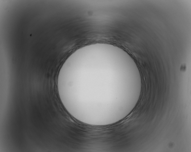 X0000103440528200809121104