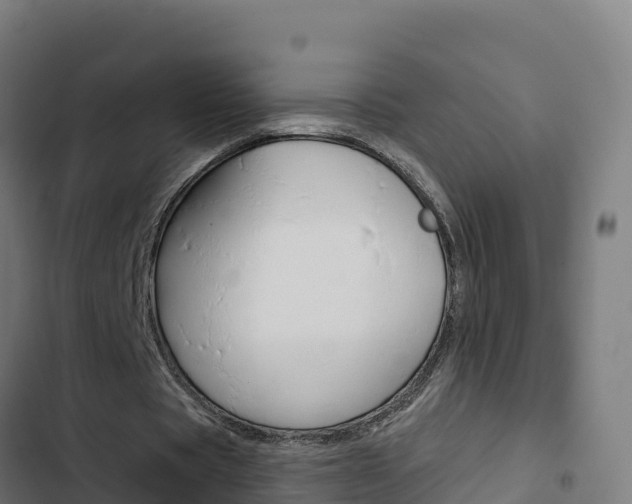 X0000103440529200809121104