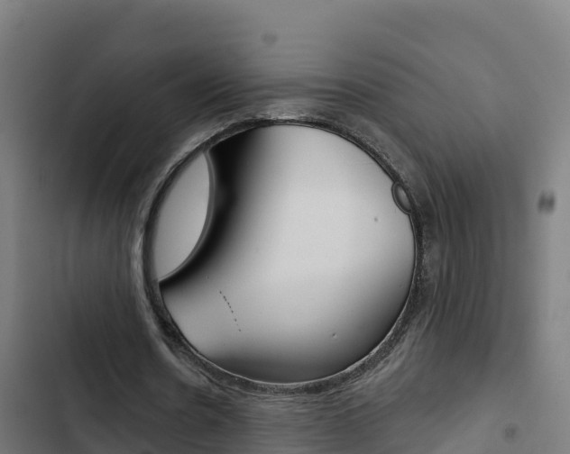 X0000103440530200809121104