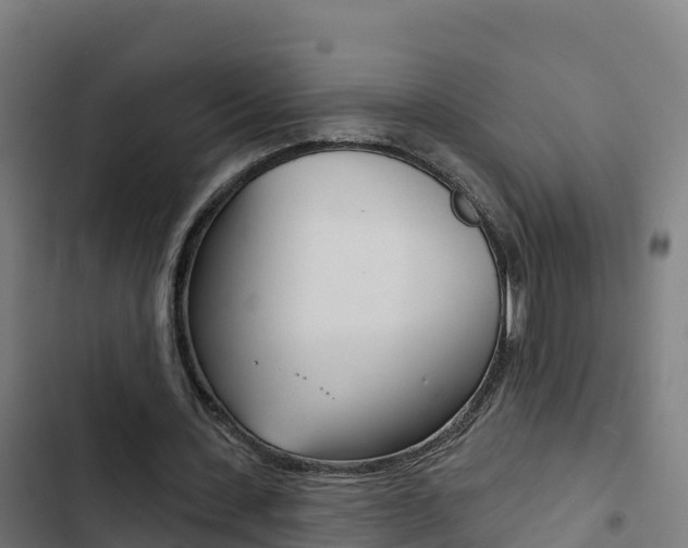 X0000103440531200809121104