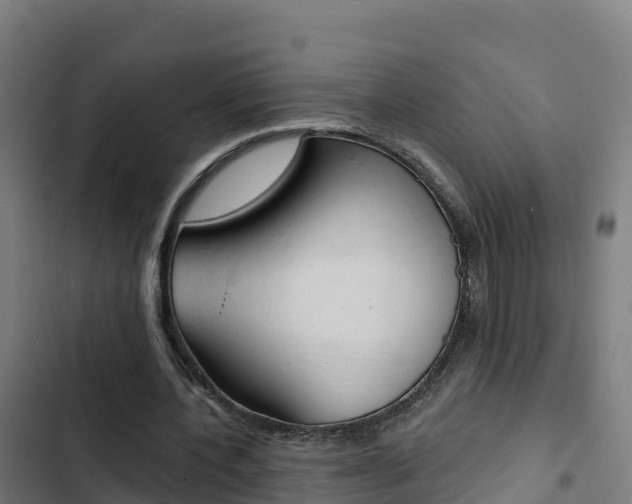 X0000103440532200809121104