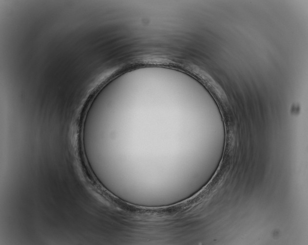 X0000103440533200809121104