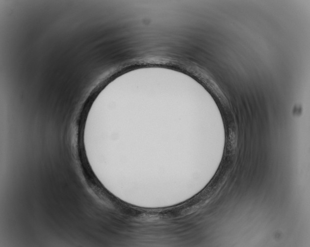 X0000103440534200809121104