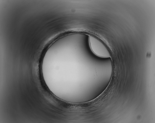 X0000103440535200809121104