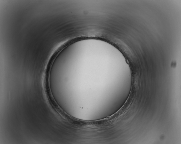 X0000103440536200809121104