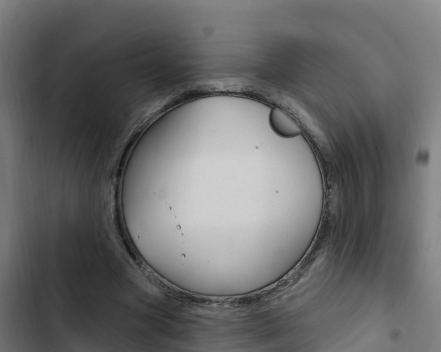X0000103440537200809121104