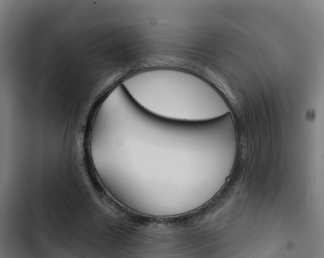 X0000103440538200809121104