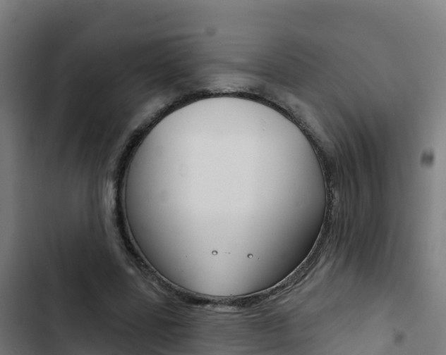 X0000103440539200809121104