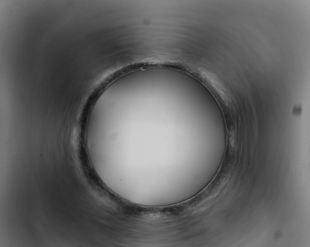 X0000103440540200809121104