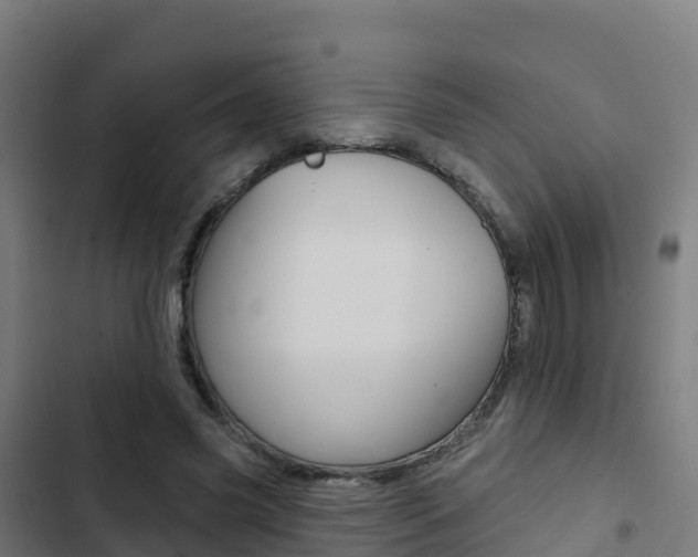 X0000103440541200809121104