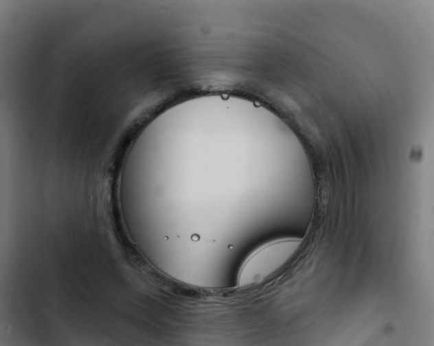X0000103440543200809121104