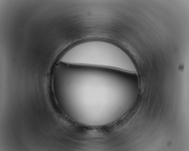 X0000103440544200809121104