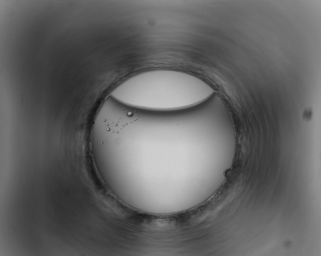 X0000103440546200809121104