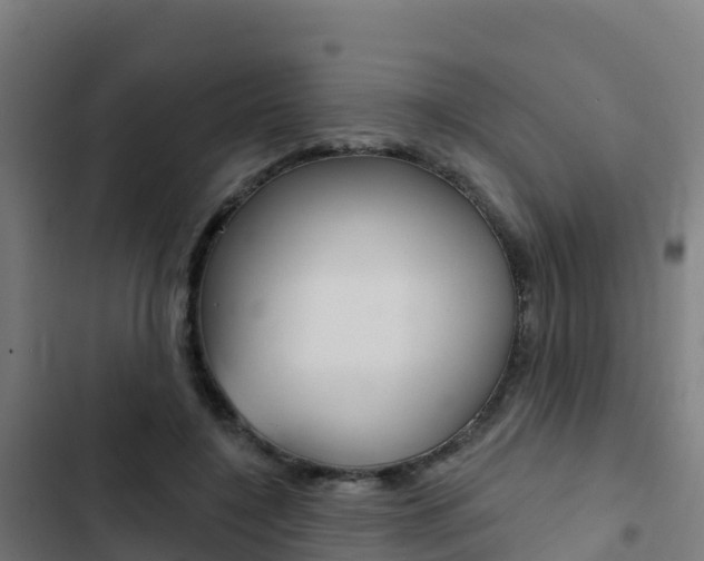 X0000103440548200809121104