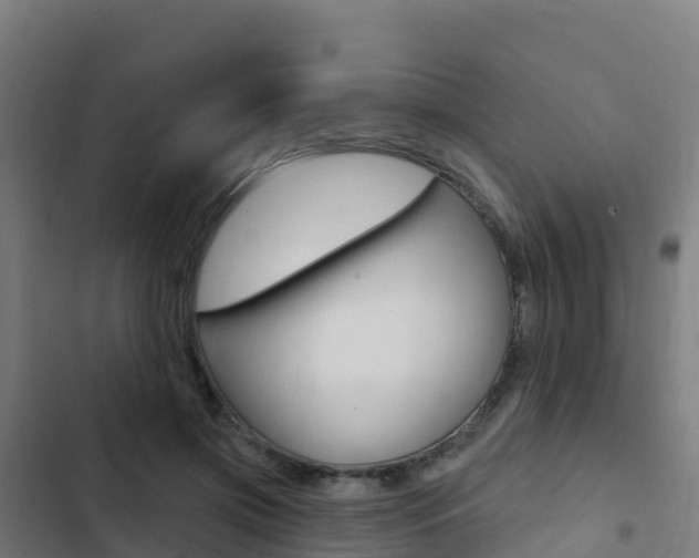X0000103440549200809121104