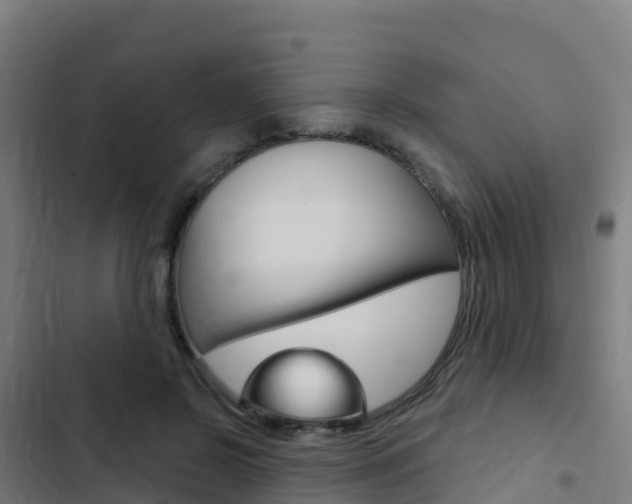 X0000103440550200809121104