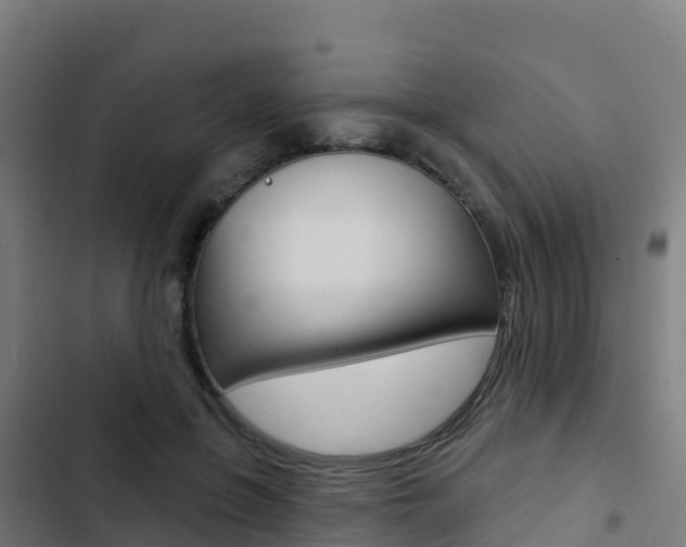 X0000103440551200809121104