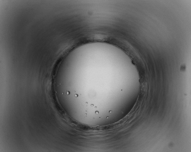 X0000103440552200809121104