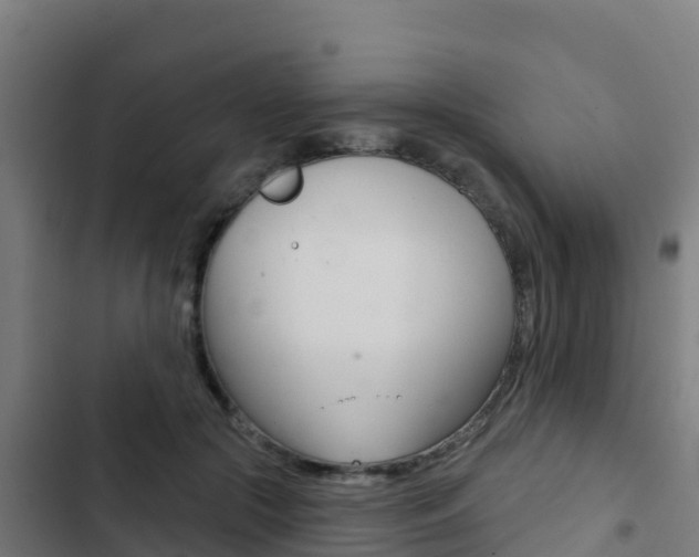 X0000103440553200809121104