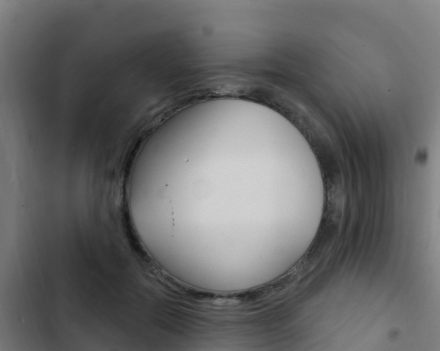 X0000103440554200809121104