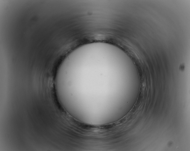 X0000103440555200809121104