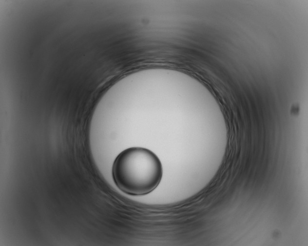 X0000103440556200809121104