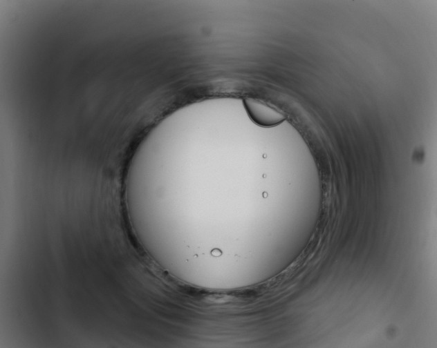 X0000103440557200809121104