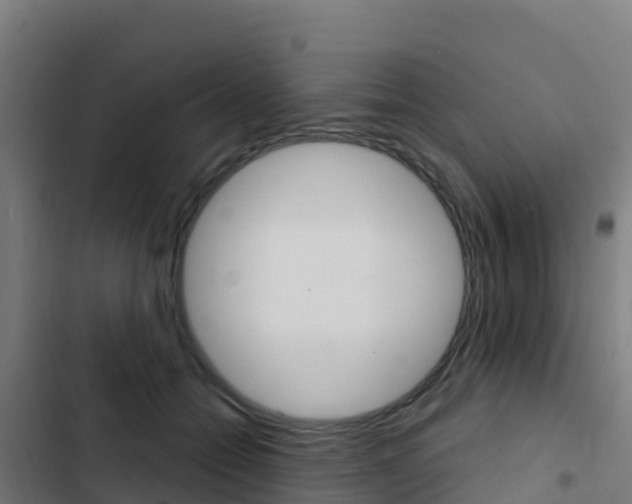 X0000103440558200809121104