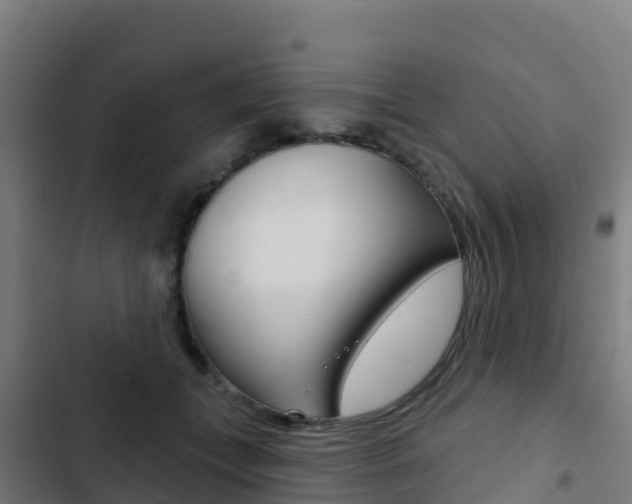 X0000103440559200809121104