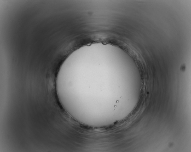 X0000103440561200809121104