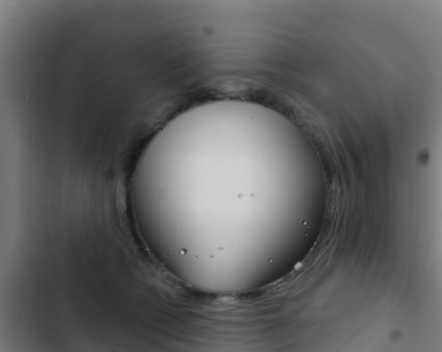X0000103440562200809121104