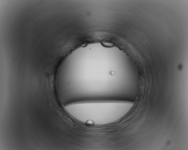X0000103440563200809121104