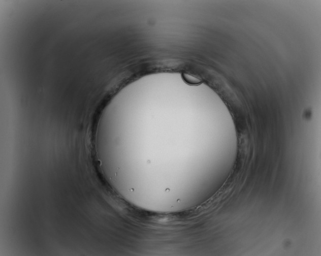 X0000103440564200809121104