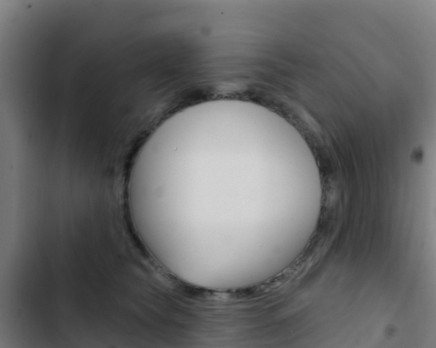 X0000103440565200809121104
