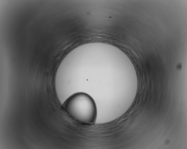 X0000103440566200809121104
