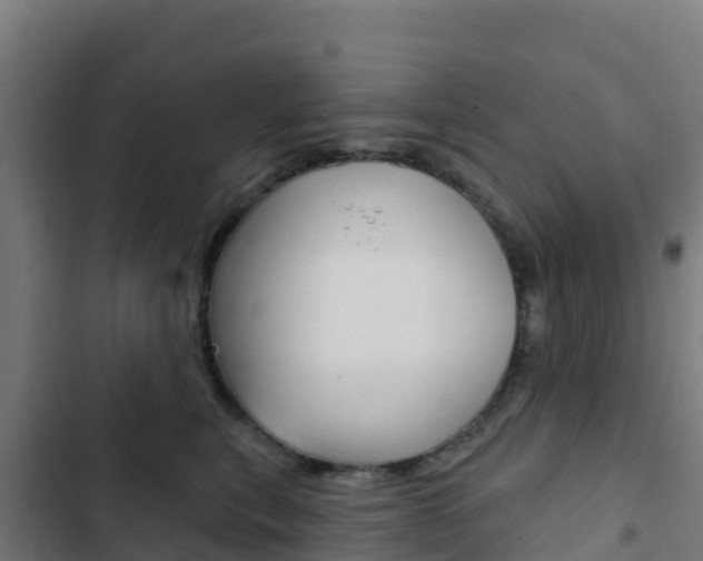 X0000103440567200809121104