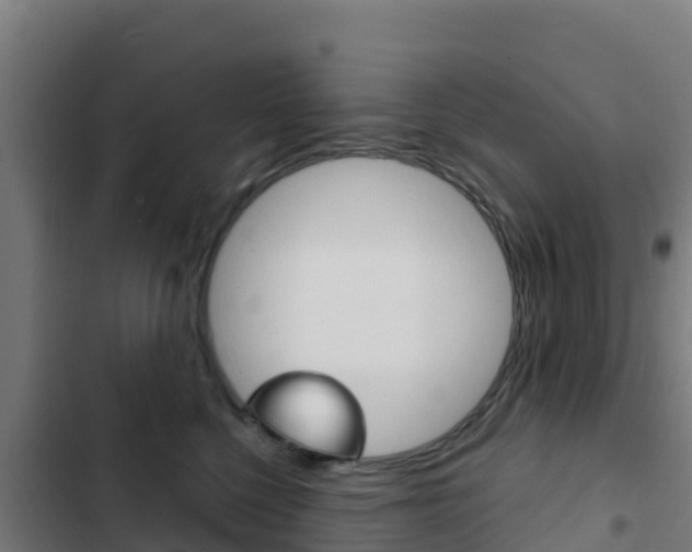 X0000103440568200809121104