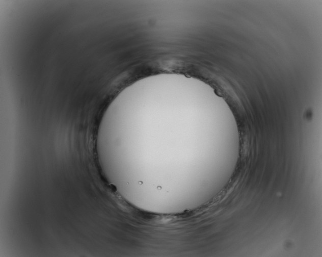 X0000103440569200809121104