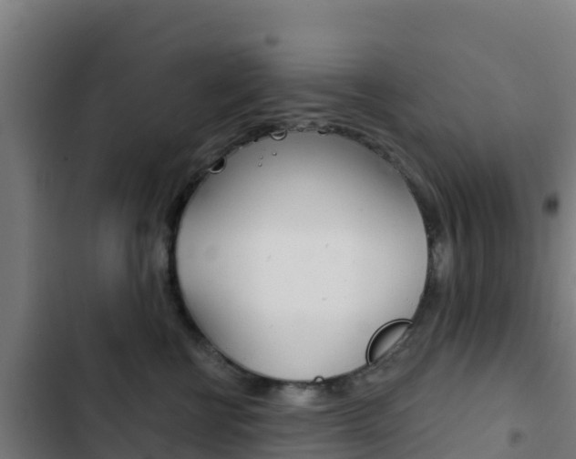 X0000103440570200809121104