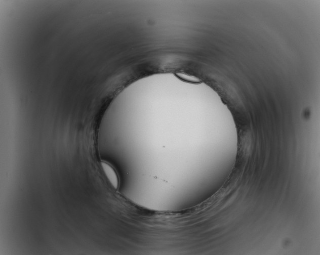 X0000103440571200809121104