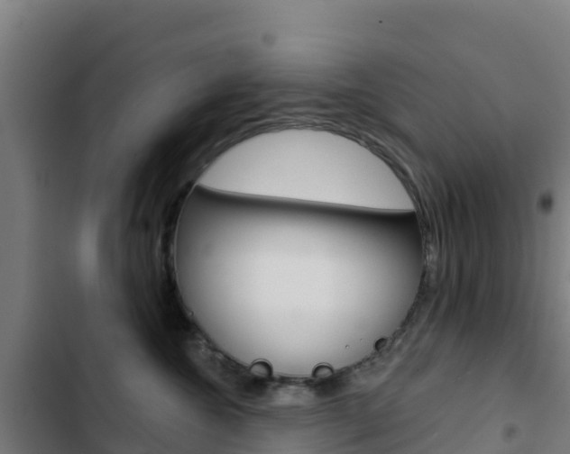 X0000103440572200809121104
