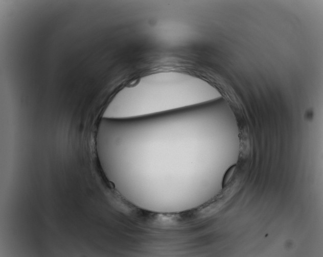 X0000103440573200809121104