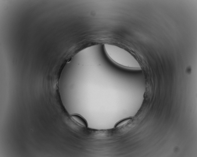 X0000103440574200809121104